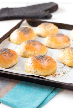 Pain à hamburger à l'épeautre