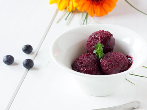 Blueberry shop sorbet vitamix