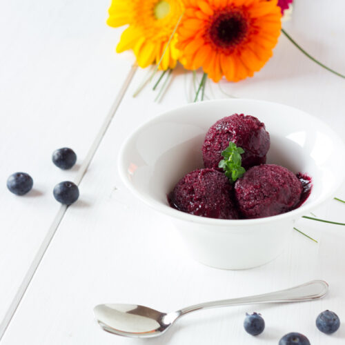 Blueberry sorbet