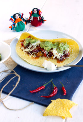 Fajitas végétariennes à l’aubergine