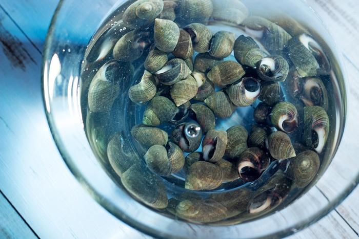 How to cook periwinkles